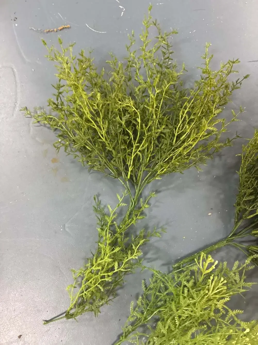 Artificial Decorative Green Dill Bush Plant Sprays